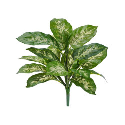 Диффенбахия бело-зелёная куст в-40 см (Sensitive Botanic) 12/120