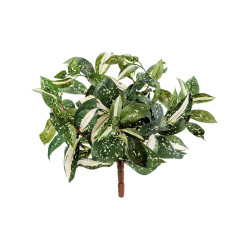 Кордилина Тини куст в-30 см 12/144