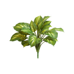 Хоста жёлто-зелёная большая д-60, в-40 см (Sensitive Botanic) 6/48