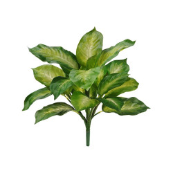 Диффенбахия золотая куст в-40 см (Sensitive Botanic) 12/120