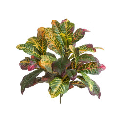 Кротон куст Мидл зелёно-жёлто-розовый в-45 см (Sensitive Botanic) 6/48